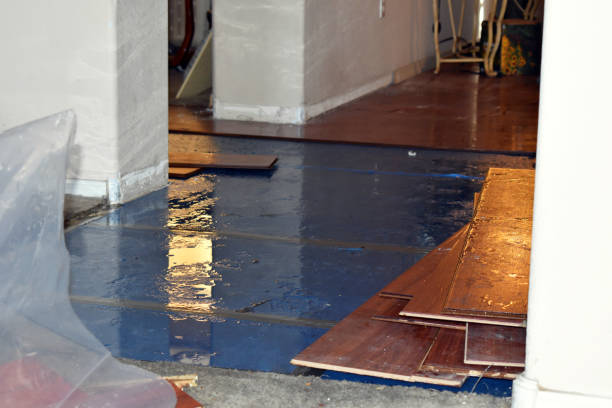 Professional Water Damage Restoration technician working in Goodhue, MN